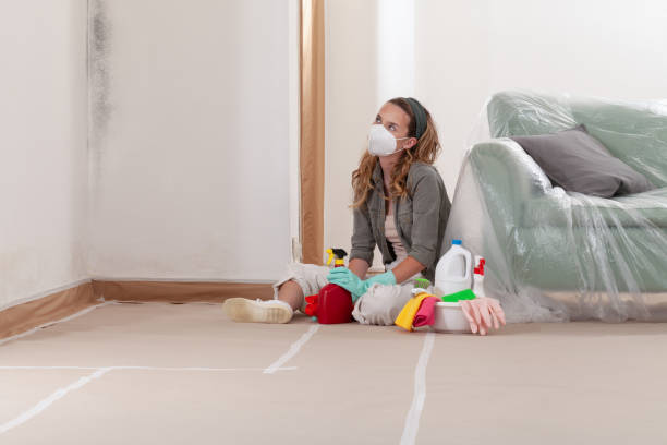Reliable Mold Inspection contractor in Jackson, NJ by WQB Mold Removal